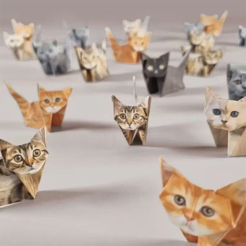 กระดาษพับรูปสัตว์ DIY สร้างสรร - Art Craft Cat บทวิจารณ์และราคา