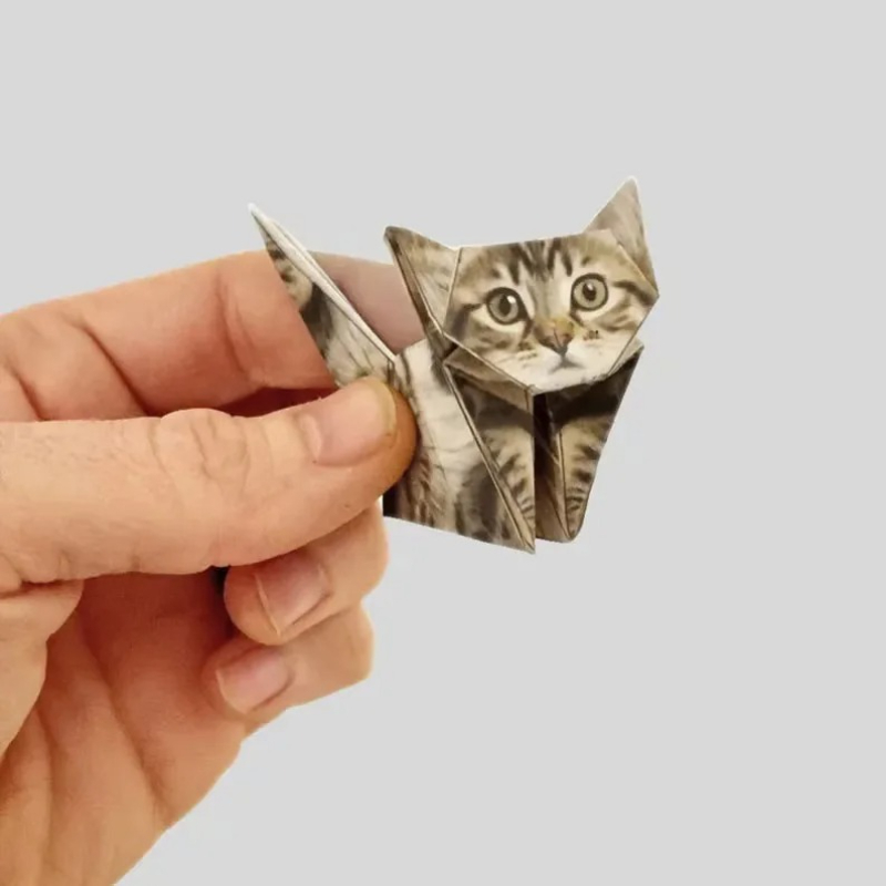 ชุดงานฝีมือพับกระดาษ DIY สร้าง - Art Craft Cat บทวิจารณ์และราคา