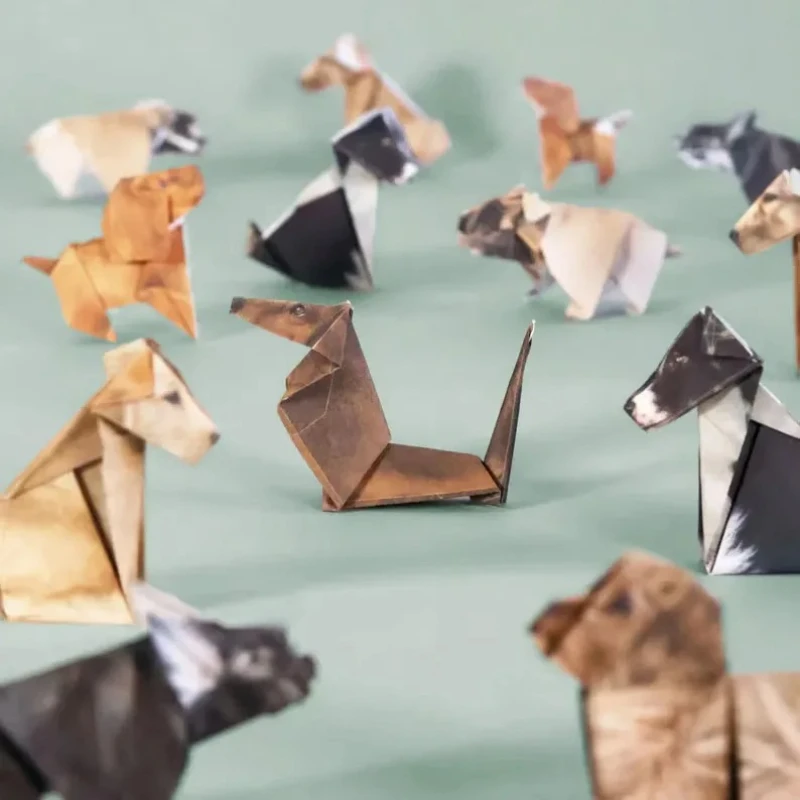 ชุดงานฝีมือพับกระดาษ DIY สร้าง - Art Craft Cat บทวิจารณ์และราคา