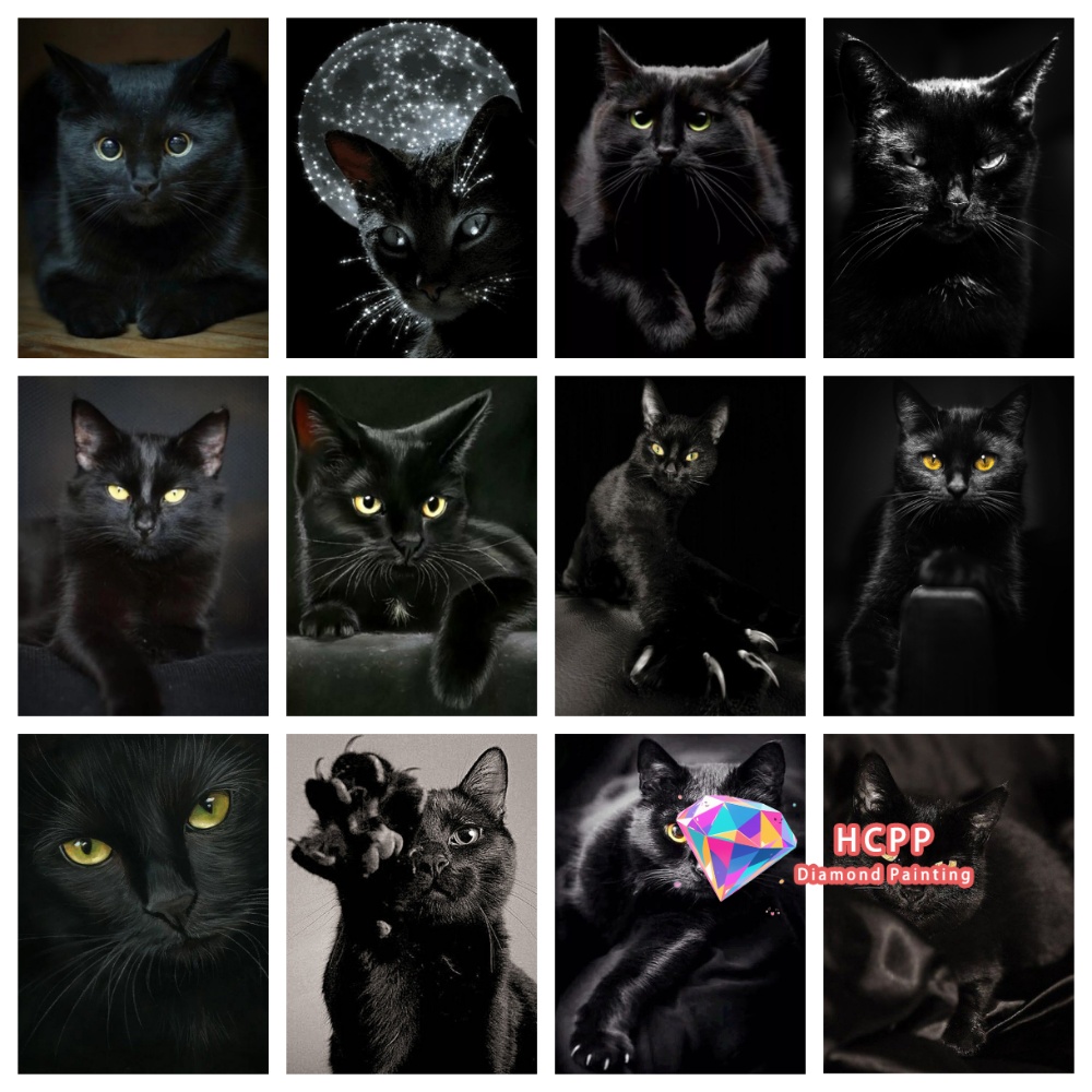 ชุดภาพวาดเพชรรูปแมวดำแบบไม่มีก - Art Craft Cat บทวิจารณ์และราคา