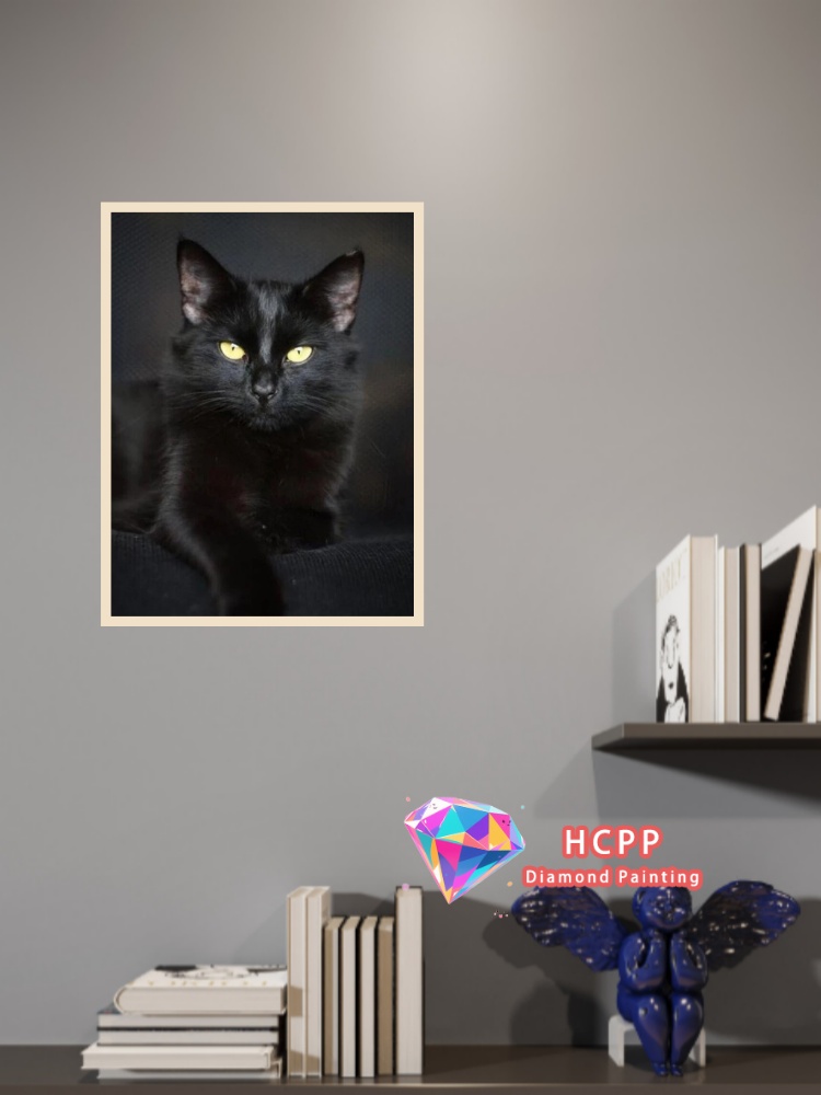 ชุดภาพวาดเพชรรูปแมวดำแบบไม่มีก - Art Craft Cat บทวิจารณ์และราคา